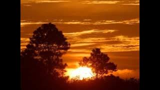 Pasi J Welling - Summer song