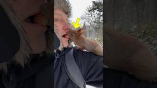 Squirrel &amp; Man Moment EverCaught on Camera!🥹❤️‍🩹 #shorts #animalmoments #youtubeshorts