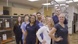 Fully supported, world-class careers at Mars