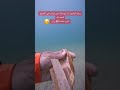 غواص لقى فلوس تحت البحر #viralvideo #explore  #shorts #لايك #اكسبلور