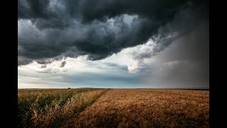 Celebrity Climate Risk Assessment Webinar Net Worth
