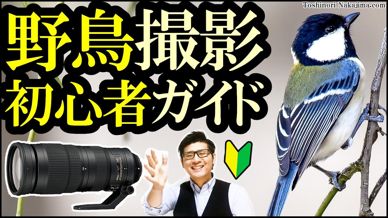 野鳥撮影ガイド ニコンで動物撮影をする私が機材を解説 カメラ レンズを紹介 Nikon D780 Af S Nikkor 0 500mm F 5 6e カメラ塾311 Youtube