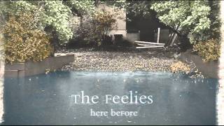 Video thumbnail of "The Feelies - Here Before"