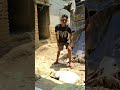 mr jajpur Biswa small comedy like comment share