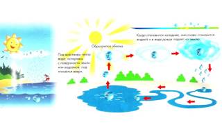 Почему идет дождь   Энциклопедия для малышей в сказках