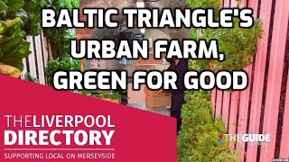 Come inside Liverpool's urban vertical farm, Greens for Good | The Guide Liverpool