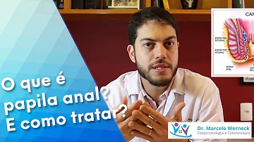 Onde fica a papila piriforme?