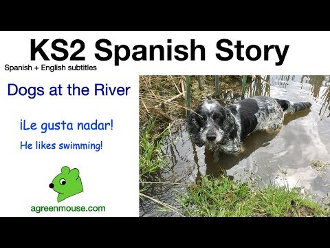 Spanish Short Stories about Dogs