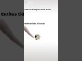 Udh nonton ini belum?? #fypyoutube #shortsvideo #shortvideo #shortmemes #memes #indonesia #trending