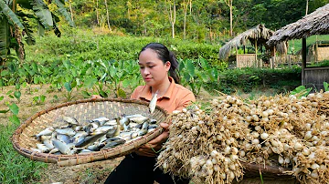 Harvest field carp & Palanquin vegetables go market sell - Plant flowers in the garden