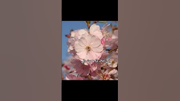 تلاوة جميله  لسورة الزمر آيه 13 ❤❤ القارئ عبدالعزيز العسيري 🌹