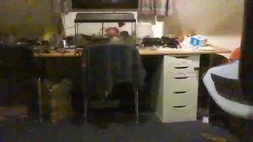 Problems with tello drone