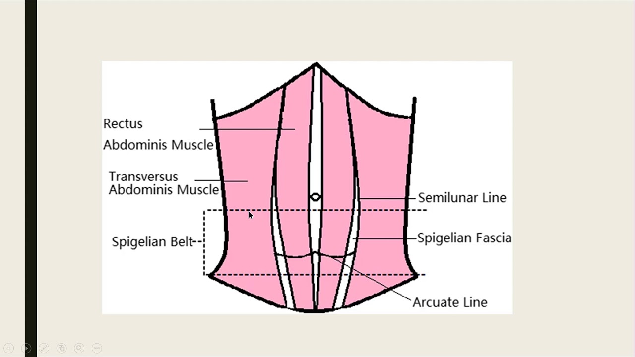 Hernia 3 Other Types Of Hernia Youtube