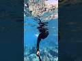 Maldives #maldives #snorkeing #maldivesislands #thulusdhoo
