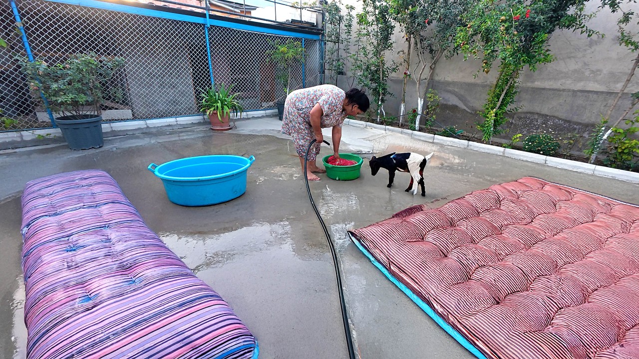 Теперь женщины, которые убирают матрас, были очень маленькими?  Уборка дома и сада! Зимняя подготовк