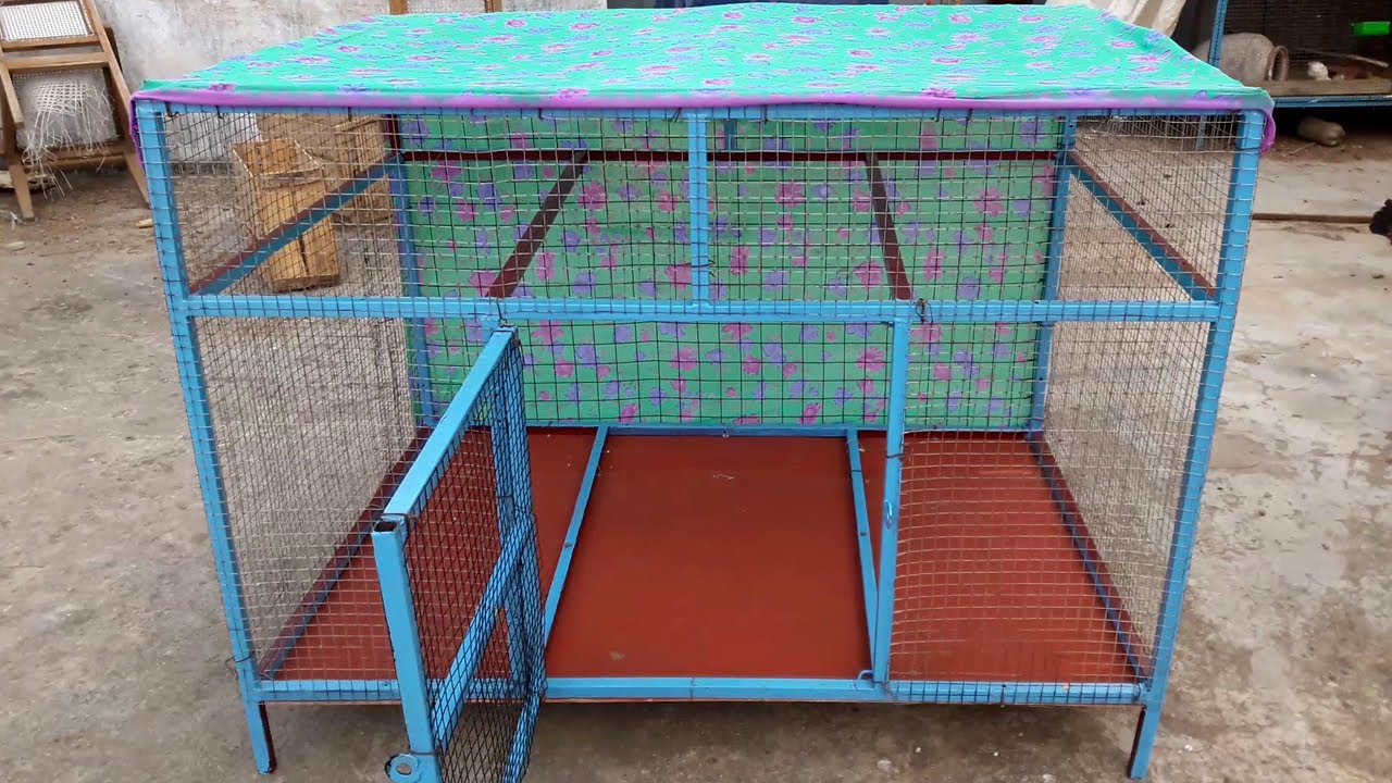 Easy Way To Make Chicken Coop At Home Using Wood and Iron Net