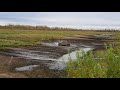 3-й этап чемпионата Томской области по трофи-рейдам &quot;Медвежий угол&quot;