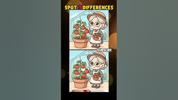SPOT THE 3 DIFFERENCES #084