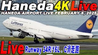 🔵 Live 羽田空港ライブ Haneda Airport Live February 8, 2025  生中継 2025年2月8日 羽田空港ライブカメラ