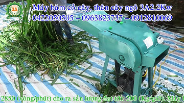 Máy băm thân cây ngô, cỏ voi 3A