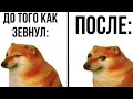 Свежие Мемы От Кабанчика 112 | Озвучка Мемов