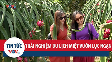 Một ngày trải nghiệm không gian du lịch miệt vườn Lục Ngạn, Bắc Giang