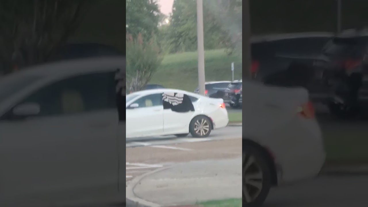 living in Memphis be like