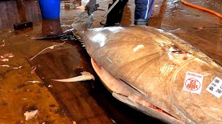 458kg Mega Bluefin Tuna Flawless Perfect Cutting Skill