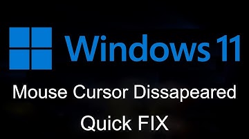 FIX Mouse Cursor Dissapeared In Windows 11 - Quick FIX
