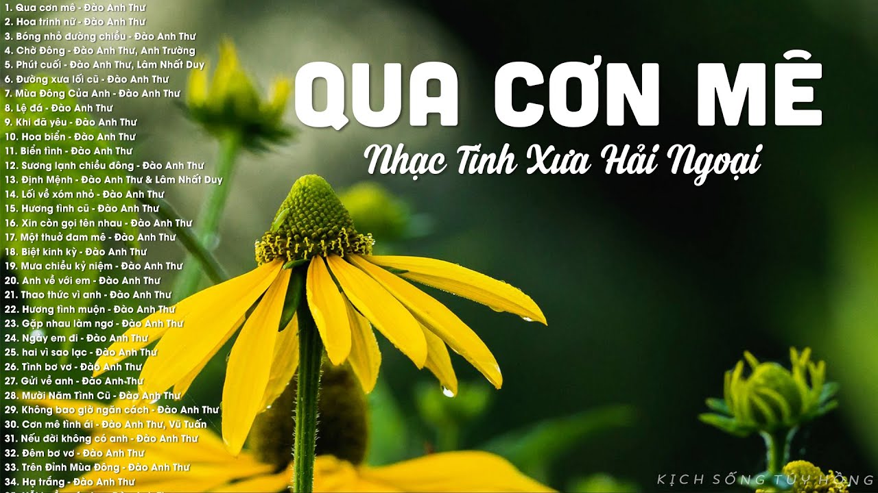 50 Bài Nhạc Vàng Xưa Nghe Hoài Không Biết Chán - Qua... - youtube