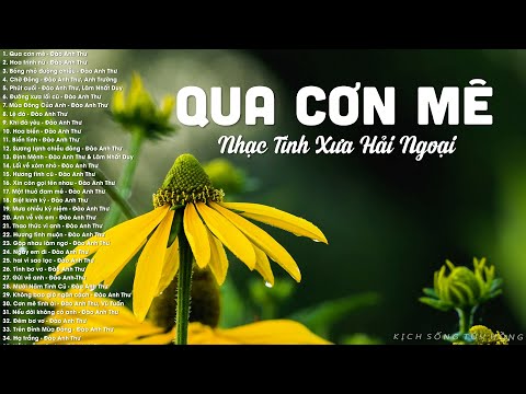 Video 50 Bài Nhạc Vàng Xưa Nghe Hoài Không Biết Chán - Qua... - youtube