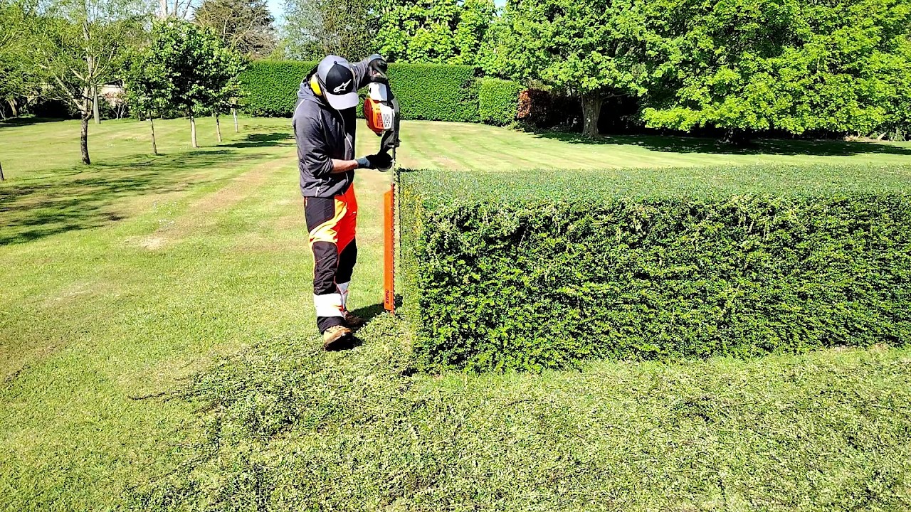 Trimming A Formal Hedge Is Always a Satisfying Job - YouTube