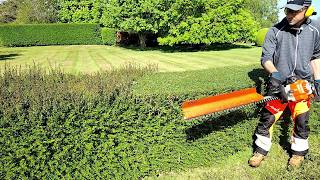 Trimming A Formal Hedge Is Always a Satisfying Job