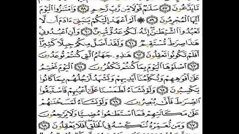 تلاوة رائعة من سورة يس للقارئ مؤيد المزين