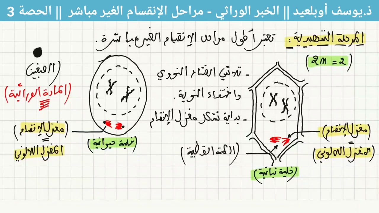 درس الخبر الوراثي الحصة 3
