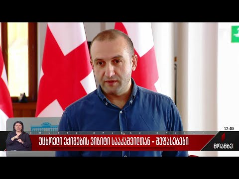 პოლონელი ექიმები სააკაშვილთან - შეფასებები პოლიტიკურ სპექტრში