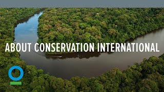 About Conservation International