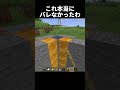 バレないと思ったけど、なんか違う?#shorts#minecraft#マイクラ
