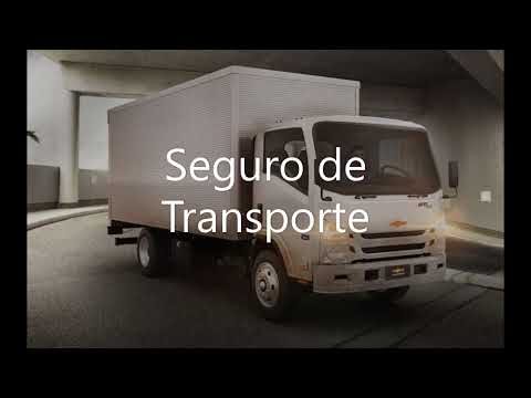 Seguro de Transporte