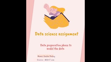 Data Preprocessing & Modeling: Partitioning, Balancing, and Trees in R/Python