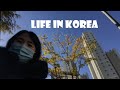 Life in Korea 🇰🇷🇷🇸 What I did after I came back to Korea! 리엔의 한국 생활