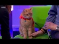 The One Show with James Bowen and his 'StreetCat' named Bob !  - 24th Oct 2016