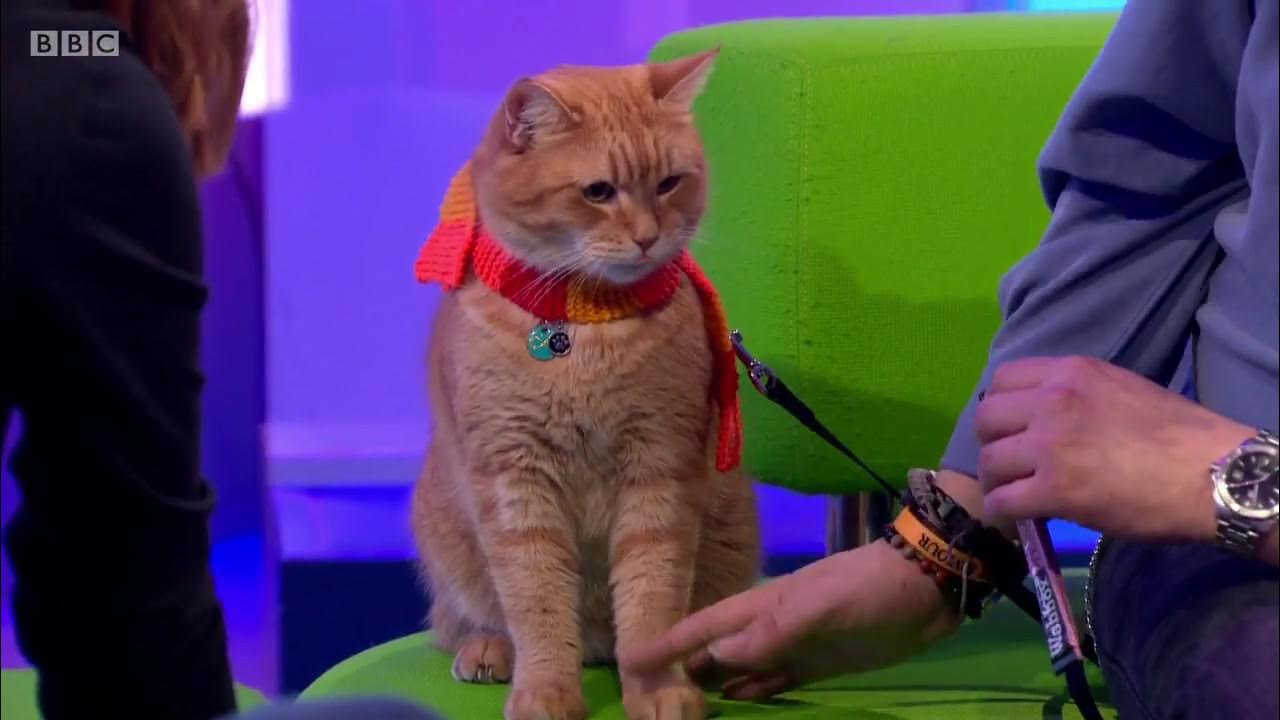 The One Show With James Bowen And His 'Streetcat' Named Bob ! - 24Th Oct  2016 - Youtube