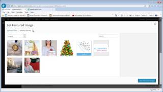Celebrity Understanding WordPress Posts - Lesson 6 Net Worth