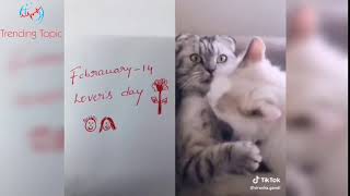 14 February Funny Video
