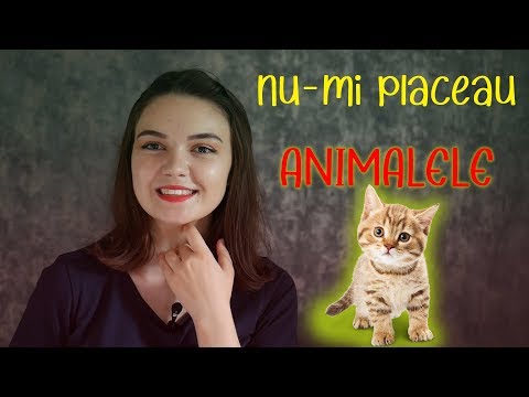 Video: Buna Vestire Vinde O Pisică Psihică - Vedere Alternativă