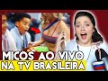 MICOS AO VIVO na TV BRASILEIRA MAIS INACREDITÁVEIS! 🤣 REAÇÃO