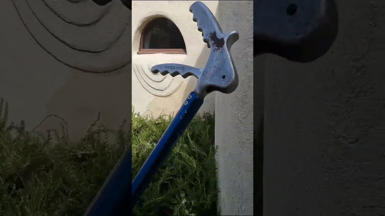 Catching a Rattlesnake, Standing in the Wrong Spot