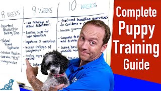 Dog Training Birmingham Mi