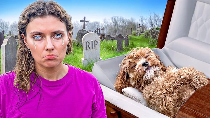 I Can’t Believe this HAPPENED to my DOG...